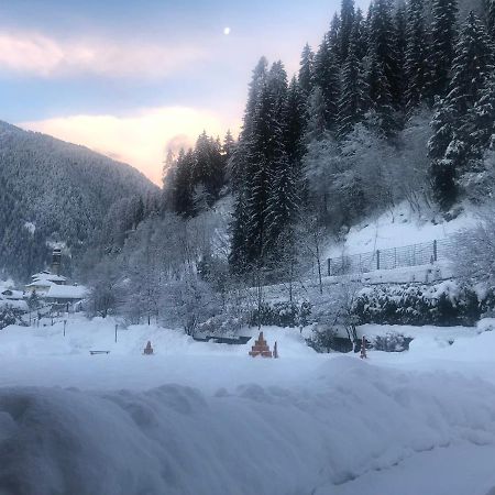 Holidays Dolomiti Apartment Resort カリゾーロ エクステリア 写真