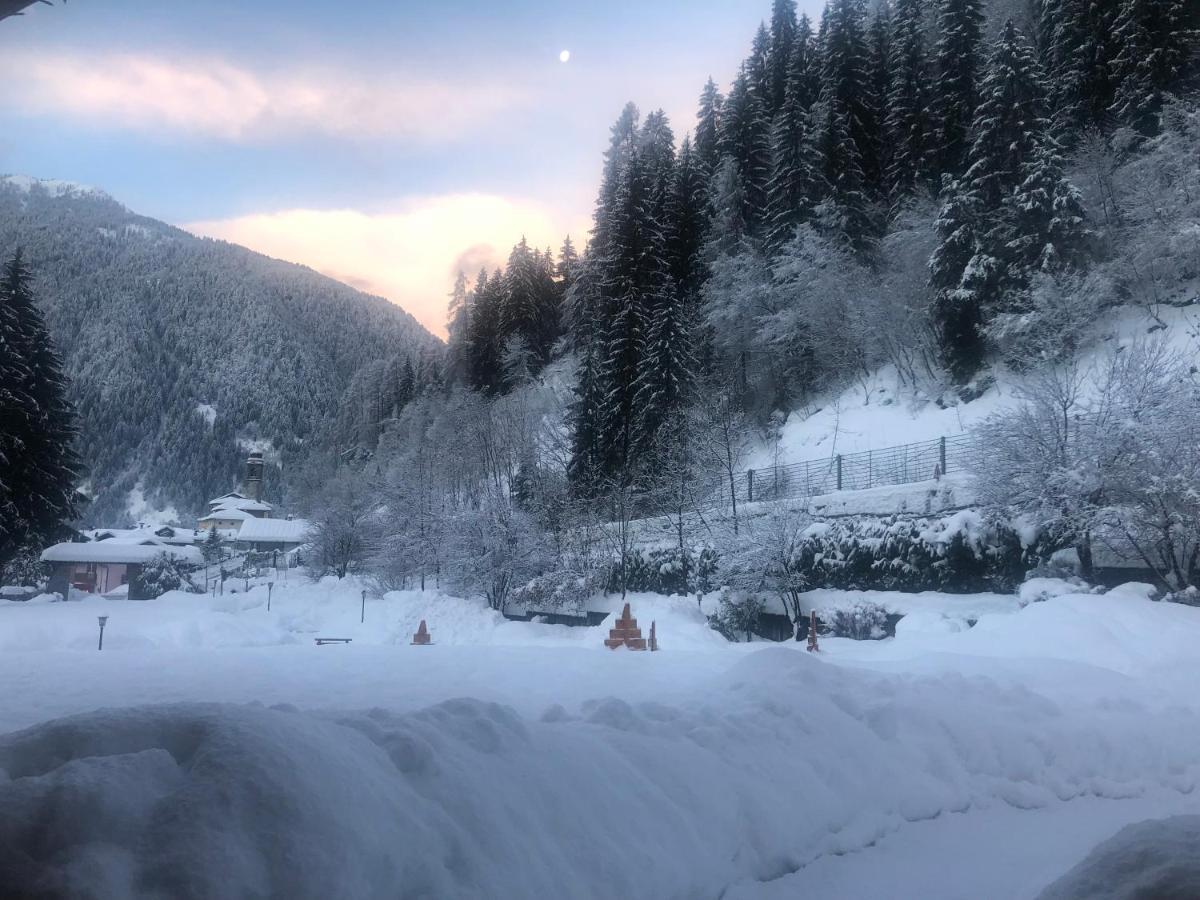 Holidays Dolomiti Apartment Resort カリゾーロ エクステリア 写真